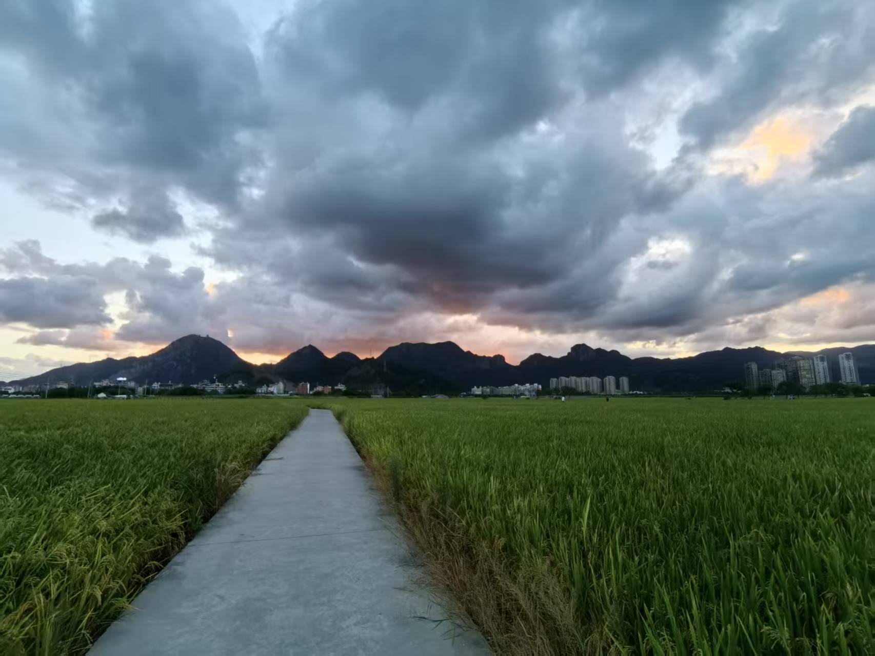 �㽭���η����������޹�˾����̨�絤��˿